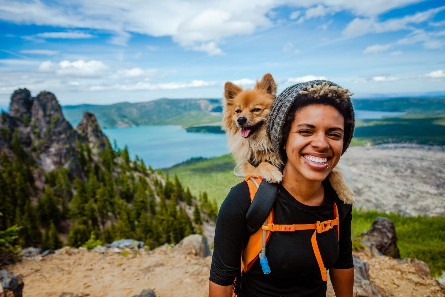 Premium No-Pull Dog Harness for Outdoor Walks